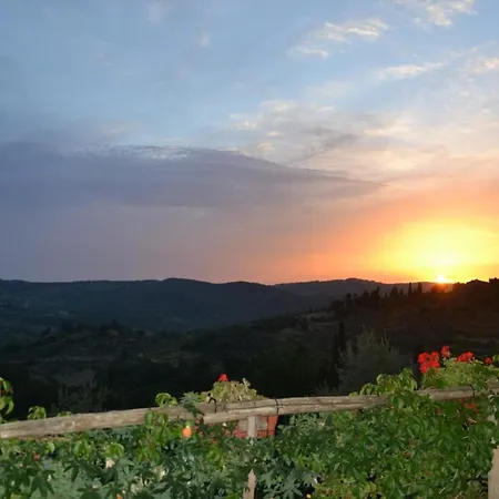 Panoramic